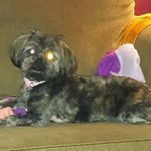 Meet your Posher, Nicki